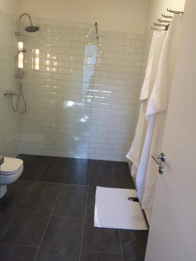 Freiraum Loft Villa Markkleeberg Exteriör bild