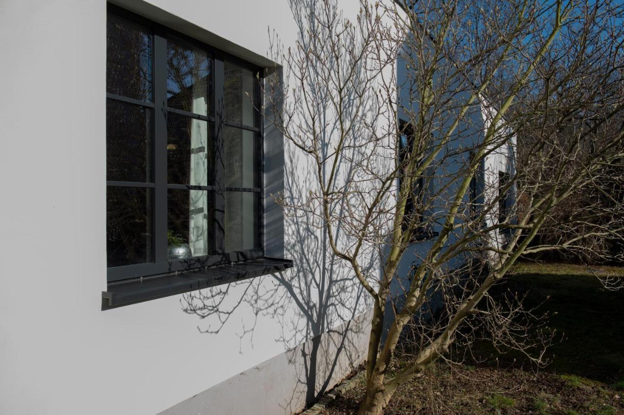 Freiraum Loft Villa Markkleeberg Exteriör bild