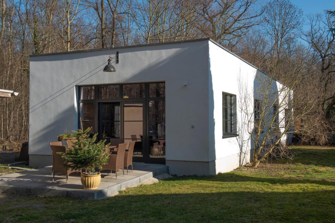 Freiraum Loft Villa Markkleeberg Exteriör bild